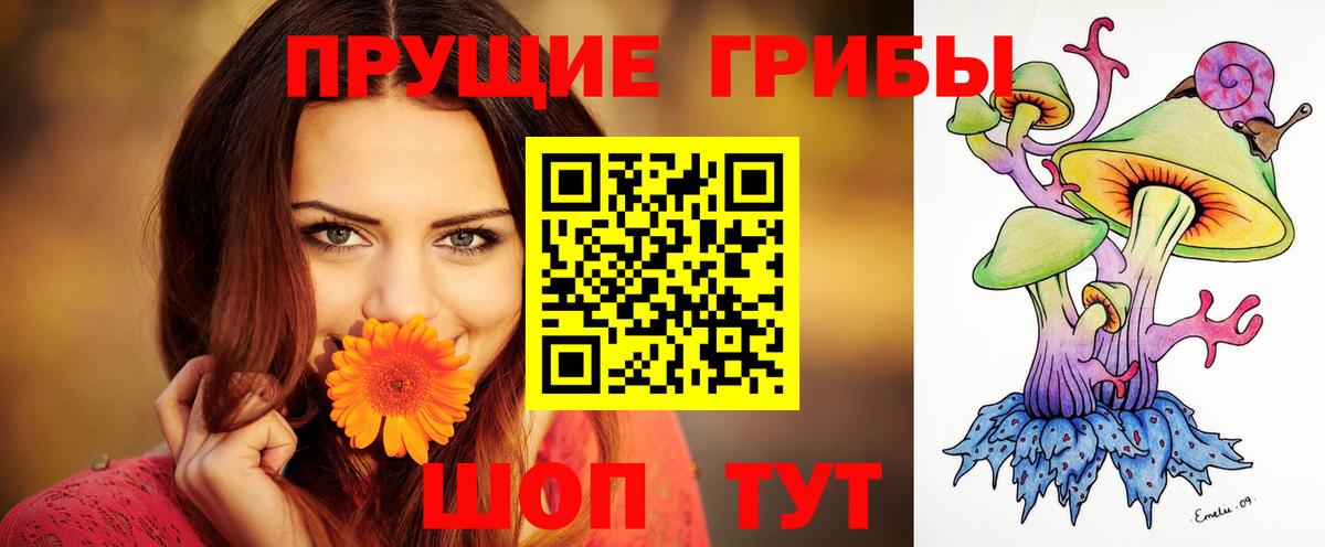 Псилоцибиновые грибы GOLDEN TEACHER Дубна