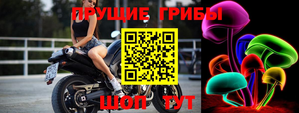 Галлюциногенные грибы Psilocybine cubensis  Галлюциногенные грибы GOLDEN TEACHER  Вход с VPN  Дубна 